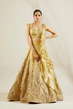 Tea Green Laser Cut Lehenga
