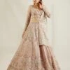 Silver Mauvish Glass Lehenga -Lillys Clothing Shop st feb. 2021 ADAARA COUTURE 8603