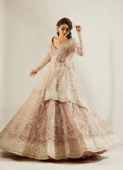 Silver Mauvish Glass Lehenga -Lillys Clothing Shop st feb. 2021 ADAARA COUTURE 8612
