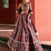 Dark Purple Jamawar Lehnga -Lillys Clothing Shop yciyi